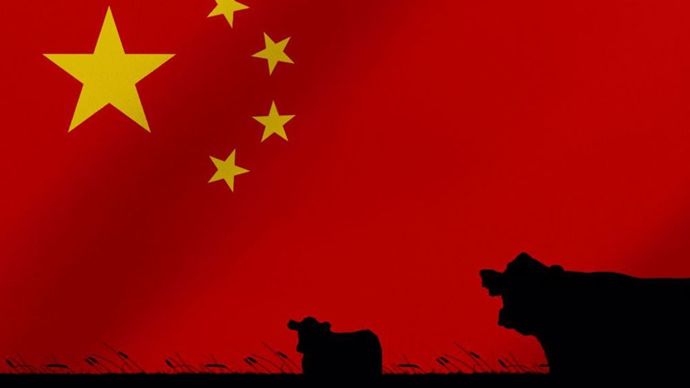 337c443a-0-taxe-chinoise-sur-les-produits-laitiers-ue-un-coup-de-massue