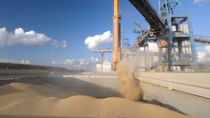 619d99d3-b-le-poids-du-ble-et-du-colza-temperent-la-volatilite-sur-les-marches-agricoles