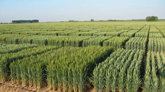 7473209f-9-l-union-europeenne-trouve-un-accord-sur-les-ngt