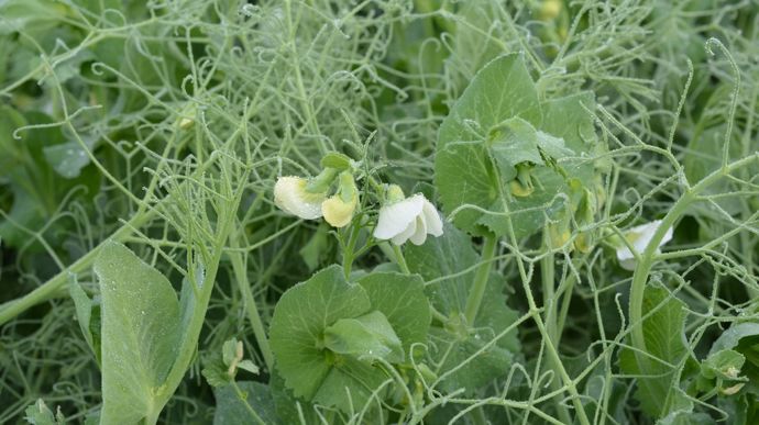 AdobeStock_141720339