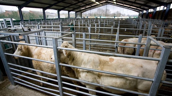 AdobeStock_336703955