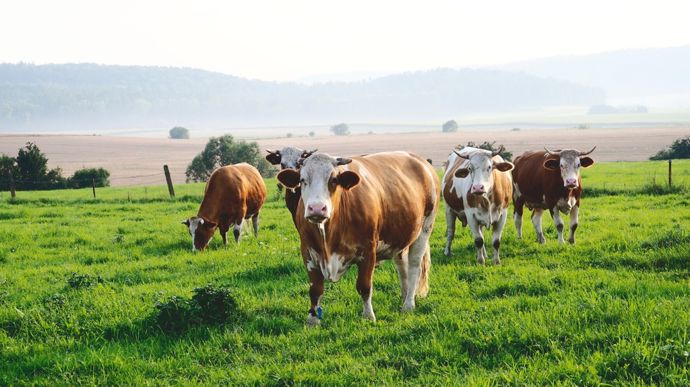 AdobeStock_434325976