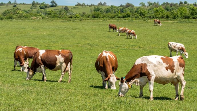 AdobeStock_450821240