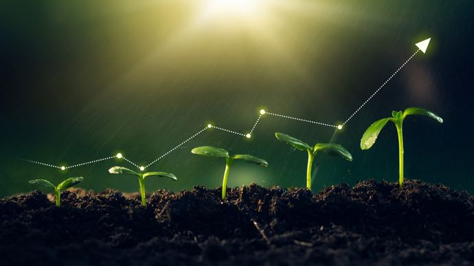 AdobeStock_483549452