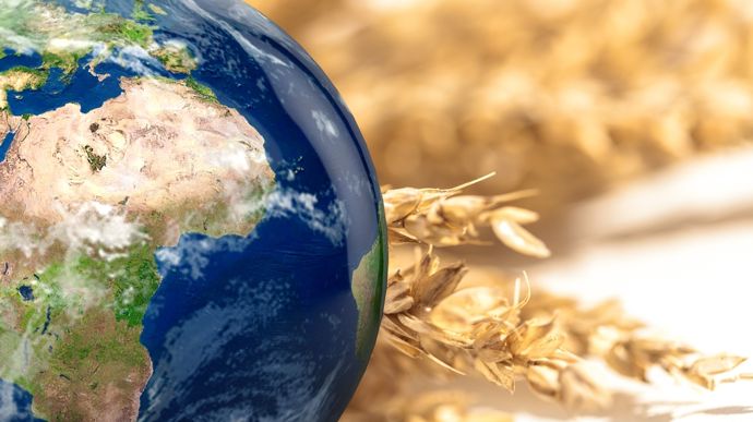 AdobeStock_508530893