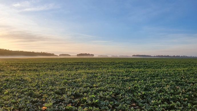 HIVERmatin-crEditNadEgePETITagri_zoom_