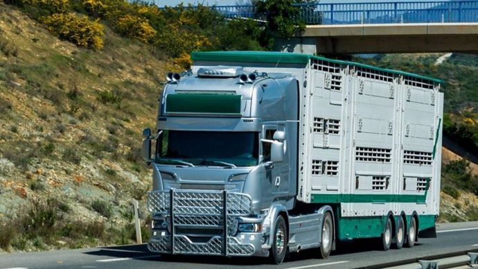 a649fb2d-7-dermatose-les-controles-se-multiplient-pour-contenir-la-maladie