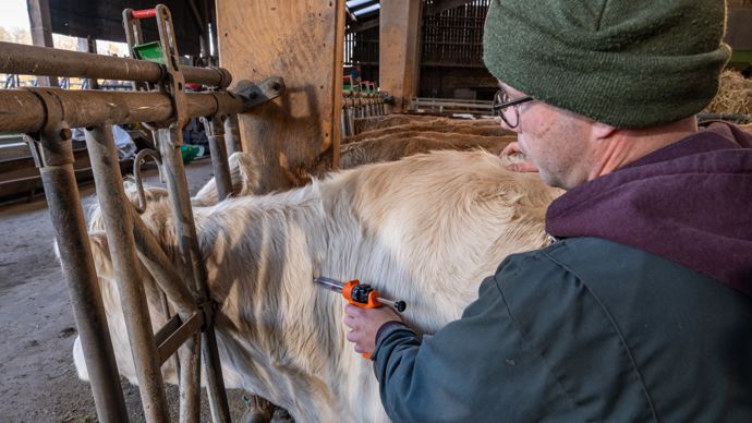 ccafa75c-d-dermatose-pas-de-vaccination-generale-a-ce-stade-mais-des-reflexions