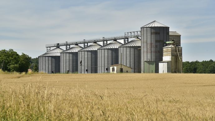 13a11af6-a-les-marches-agricoles-debutent-2026-avec-du-ble-en-stock-un-mais-courtise