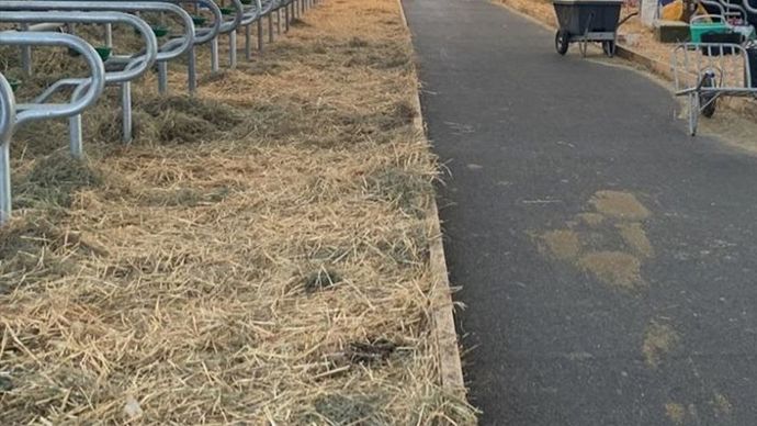 5e548379-1-pour-la-premiere-fois-aucun-bovin-au-salon-de-l-agriculture-a-cause-de-la-dnc