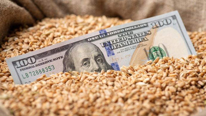 91b668e1-c-malgre-la-meteo-et-la-chute-du-dollar-les-marches-agricoles-bougent-peu