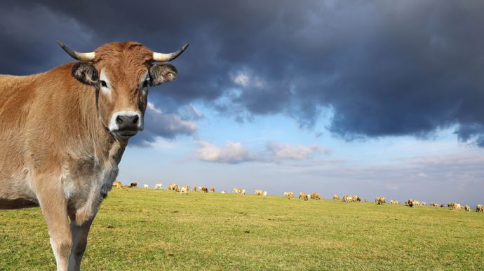 AdobeStock_294542601