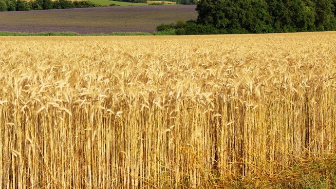 AdobeStock_322814075