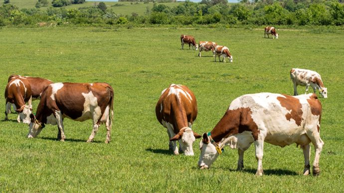 AdobeStock_4508212401