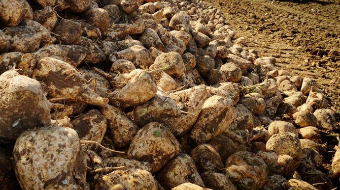 AdobeStock_567958141