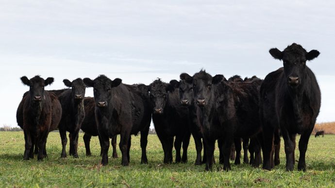 AdobeStock_623623849