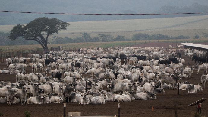 AdobeStock_880016178