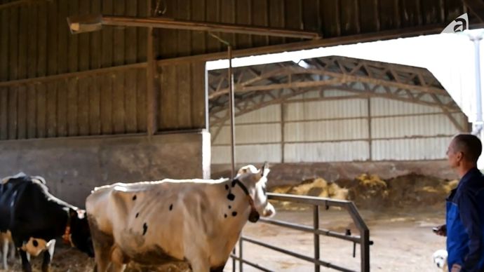 BarrieremotorisEeelevage