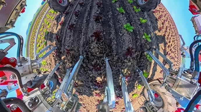 einboeck-bineuse-inter-plants-invera3