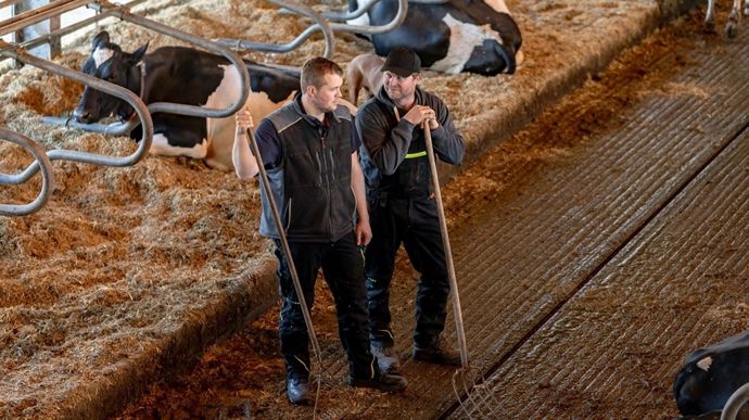 installation-en-societe-elevage-adobestock-countrypixel