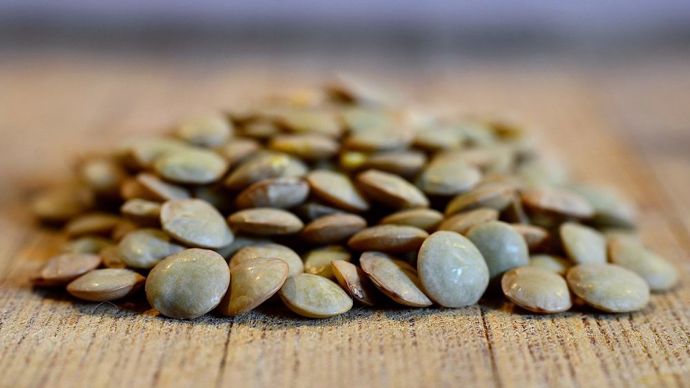 0131b726-b-poussee-par-le-climat-la-lentille-se-cherche-une-vocation-dans-le-nord