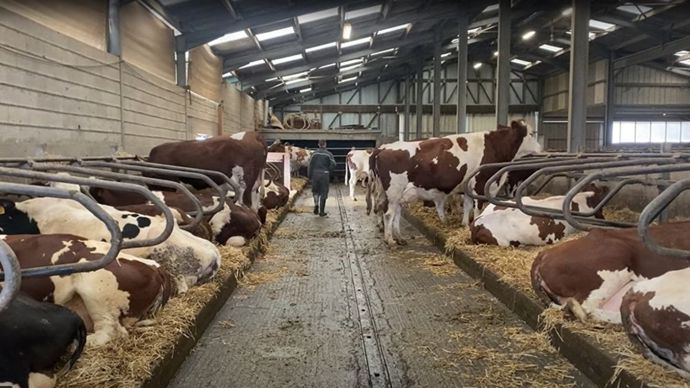 379142ec-8-les-agriculteurs-ne-refusent-plus-le-psy-la-parole-se-libere