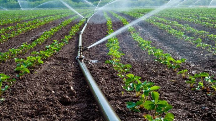 6dc1217b-a-reutilisation-des-eaux-usees-un-levier-pour-certains-agriculteurs-seulement