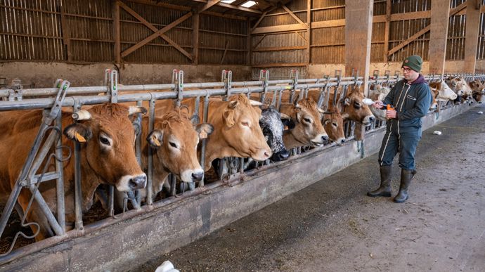 AdobeStock_1111942307