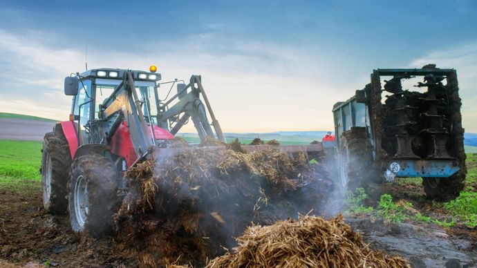 AdobeStock_130895666