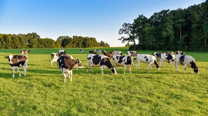 AdobeStock_138100166