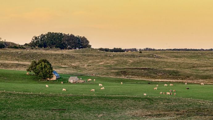 AdobeStock_1878681495