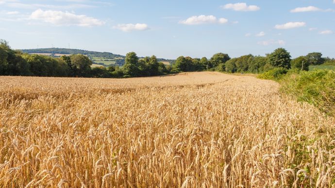 AdobeStock_213388627