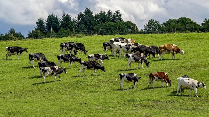 AdobeStock_582630348