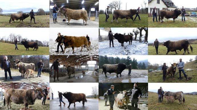 AubracssElectionnEesauCGA26