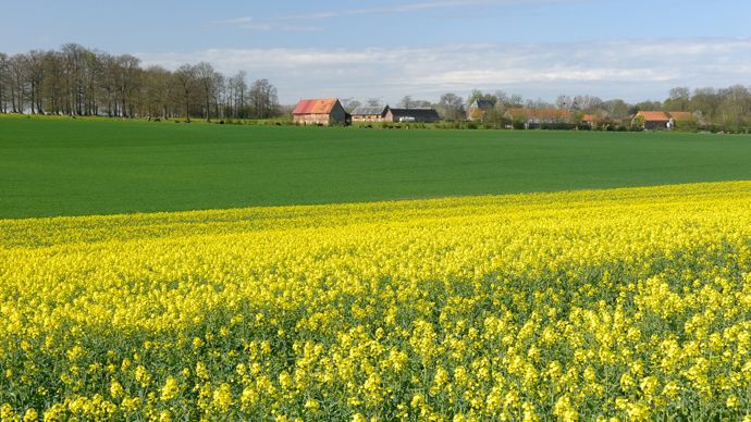 b43d6f33-2-chez-les-agriculteurs-francais-le-sentiment-de-declassement-domine