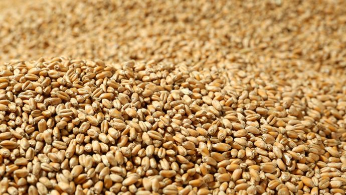 efa6c20d-4-meteo-et-stocks-dodus-pesent-sur-les-prix-mondiaux-des-cereales