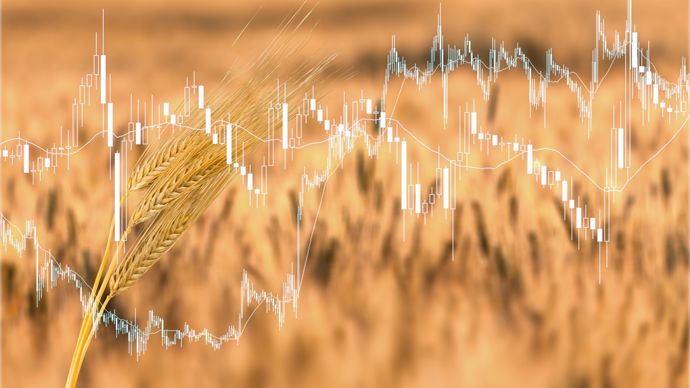 9fe881d7-1-les-cours-agricoles-encore-au-gre-du-petrole-et-des-declarations-de-guerre-ou-de