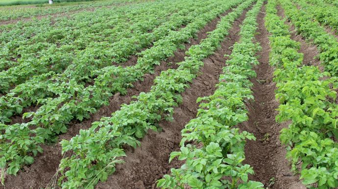 AdobeStock_1795665905