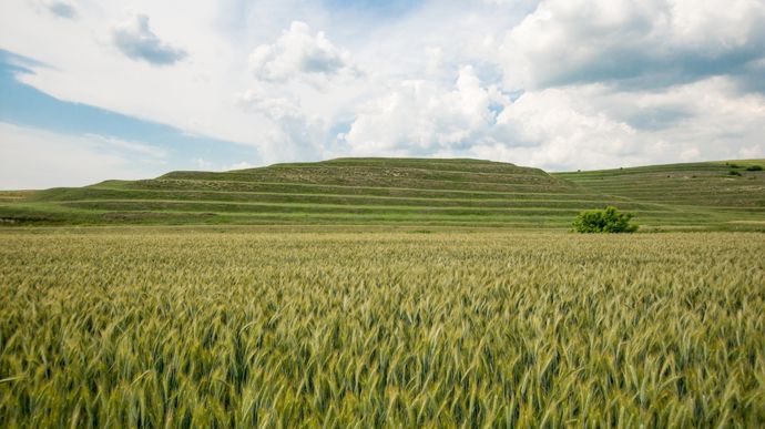 AdobeStock_272703722