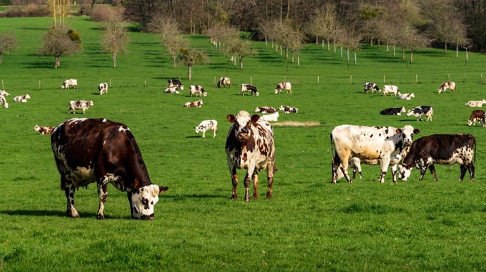 AdobeStock_437302206