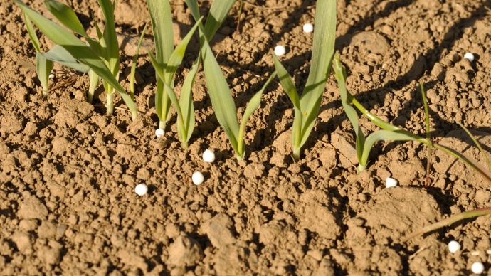 e1dbb779-a-d-une-guerre-a-l-autre-la-tenace-dependance-europeenne-aux-engrais