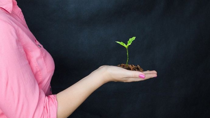 femme-avec-jeune-pousse-dans-la-main