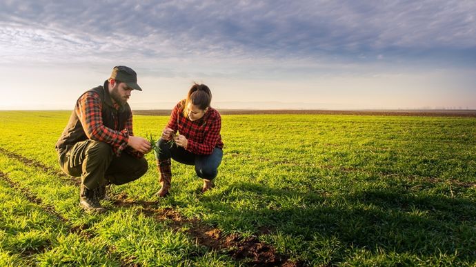 jeunes-agriculteur-et-agricultrice-dans-un-champ-adobe-stock-dusan-kostic