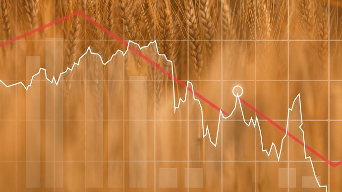 1c33f995-1-detente-attendue-des-prix-des-cereales-apres-l-annonce-du-cessez-le-feu