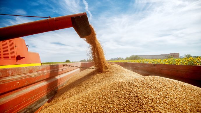 57128491-6-ble-mais-soja-des-cours-orientes-a-la-baisse-sur-fond-de-stocks-eleves