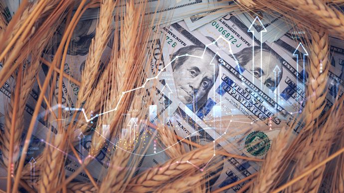 5bc11ab3-8-les-cours-des-cereales-ballottes-par-le-petrole-les-huiles-soutenues-par-le-biod