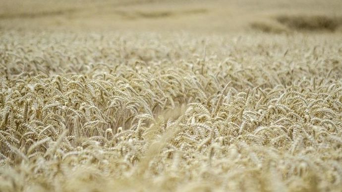 67856369-b-les-prix-alimentaires-en-hausse-en-mars-tires-par-le-cout-de-l-energie