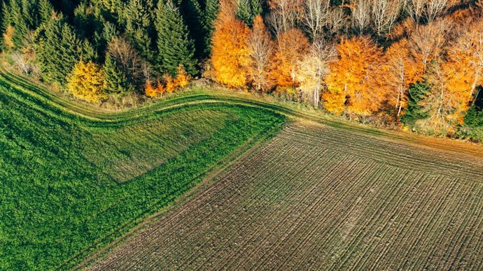 AdobeStock_1782385110