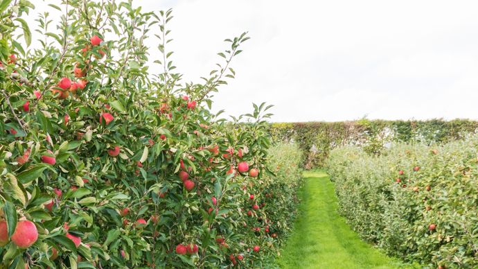 AdobeStock_308243199