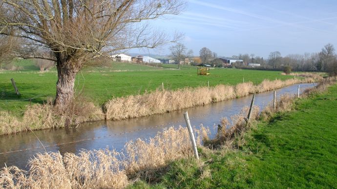 AdobeStock_420676428